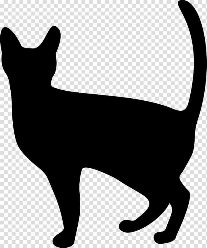 Free: Black cat Dog Icon design, Cat transparent background PNG